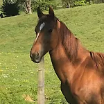 Hébergement de vacances à La Campagne *
